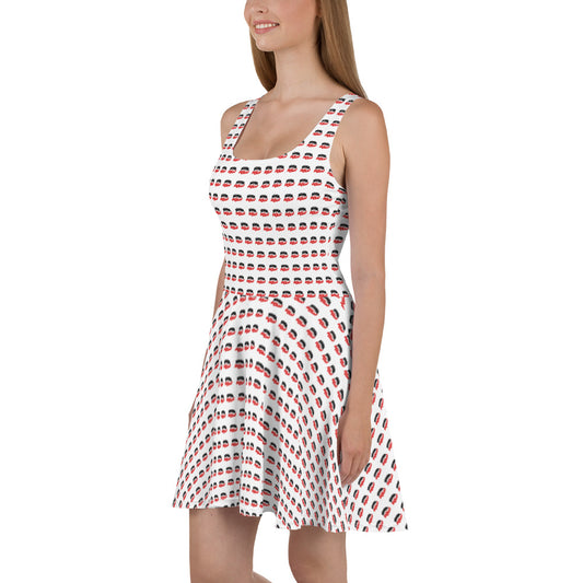 The Flag Skater Dress